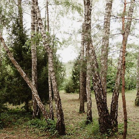 Berzu Namelis - Birch Cabin Kutsyuny Dış mekan fotoğraf