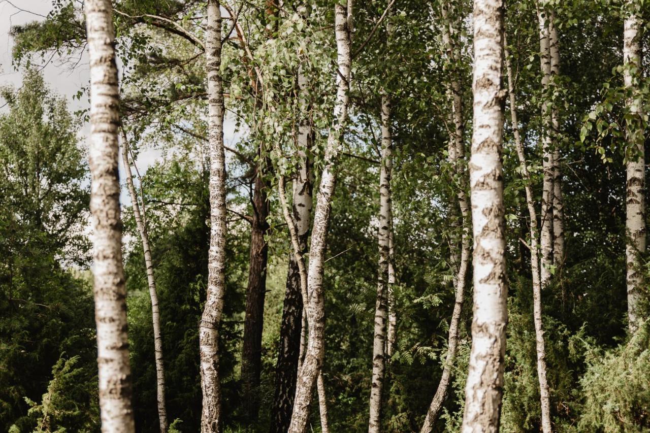 Berzu Namelis - Birch Cabin Kutsyuny Dış mekan fotoğraf
