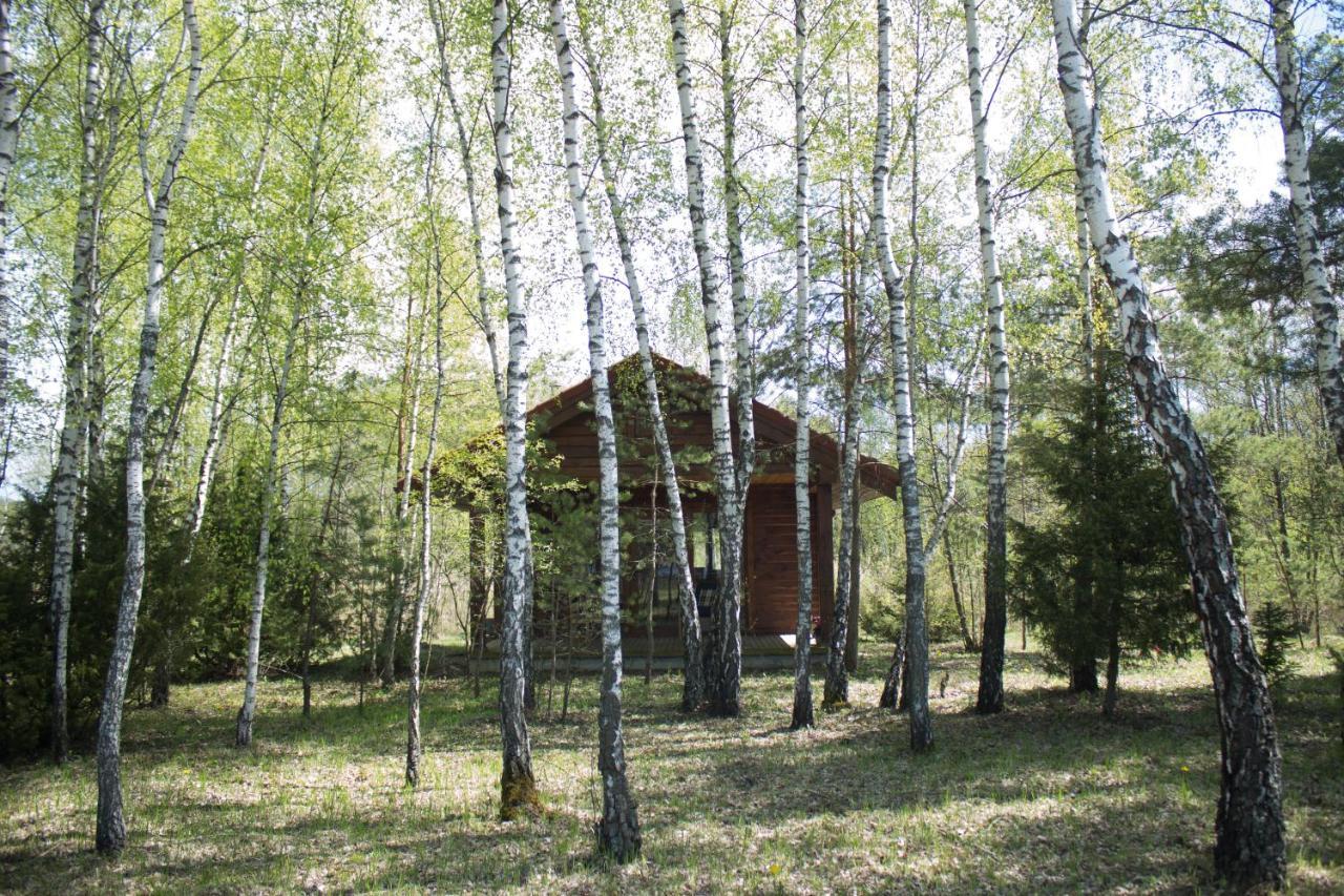 Berzu Namelis - Birch Cabin Kutsyuny Dış mekan fotoğraf